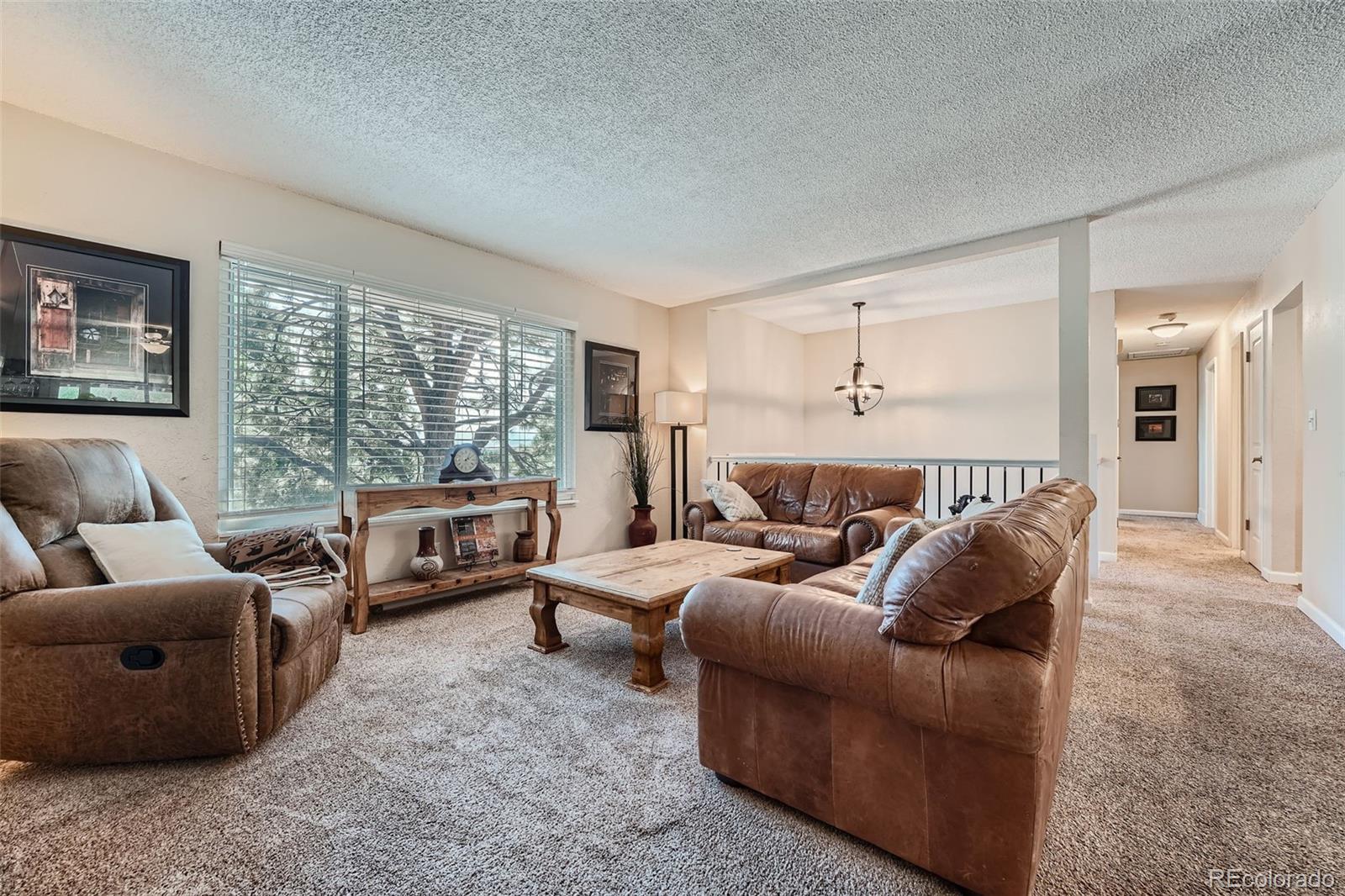 MLS Image #5 for 419  johnson drive,castle rock, Colorado