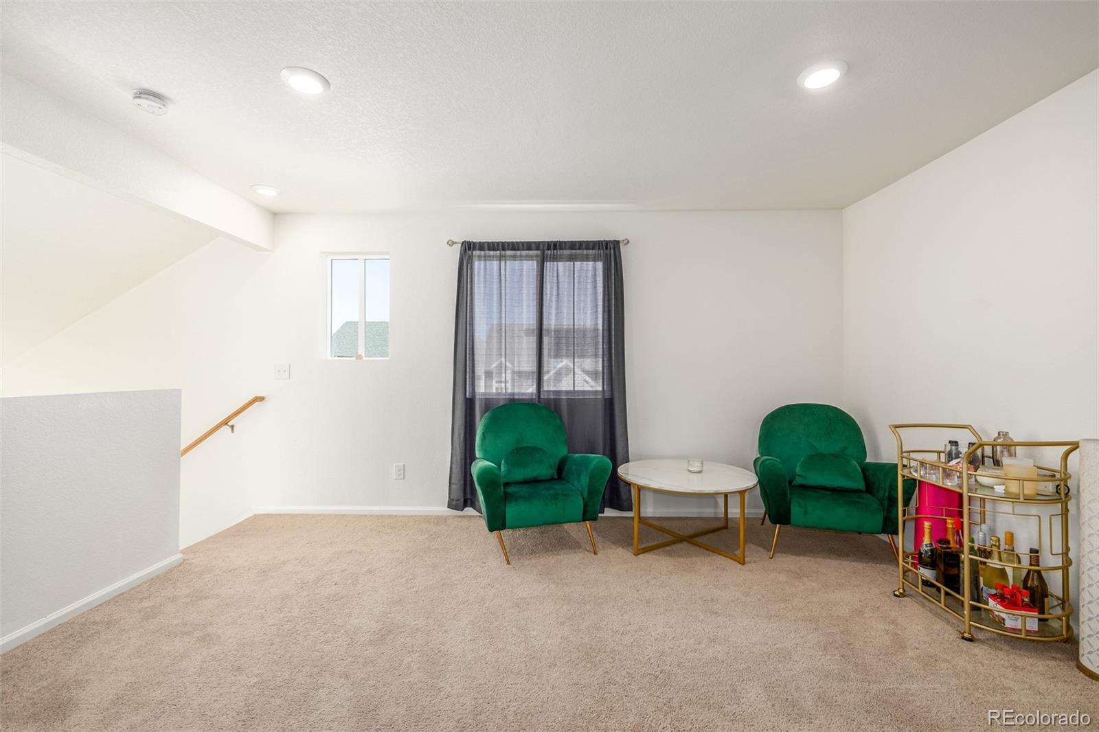 MLS Image #19 for 18682 e 54th avenue,denver, Colorado