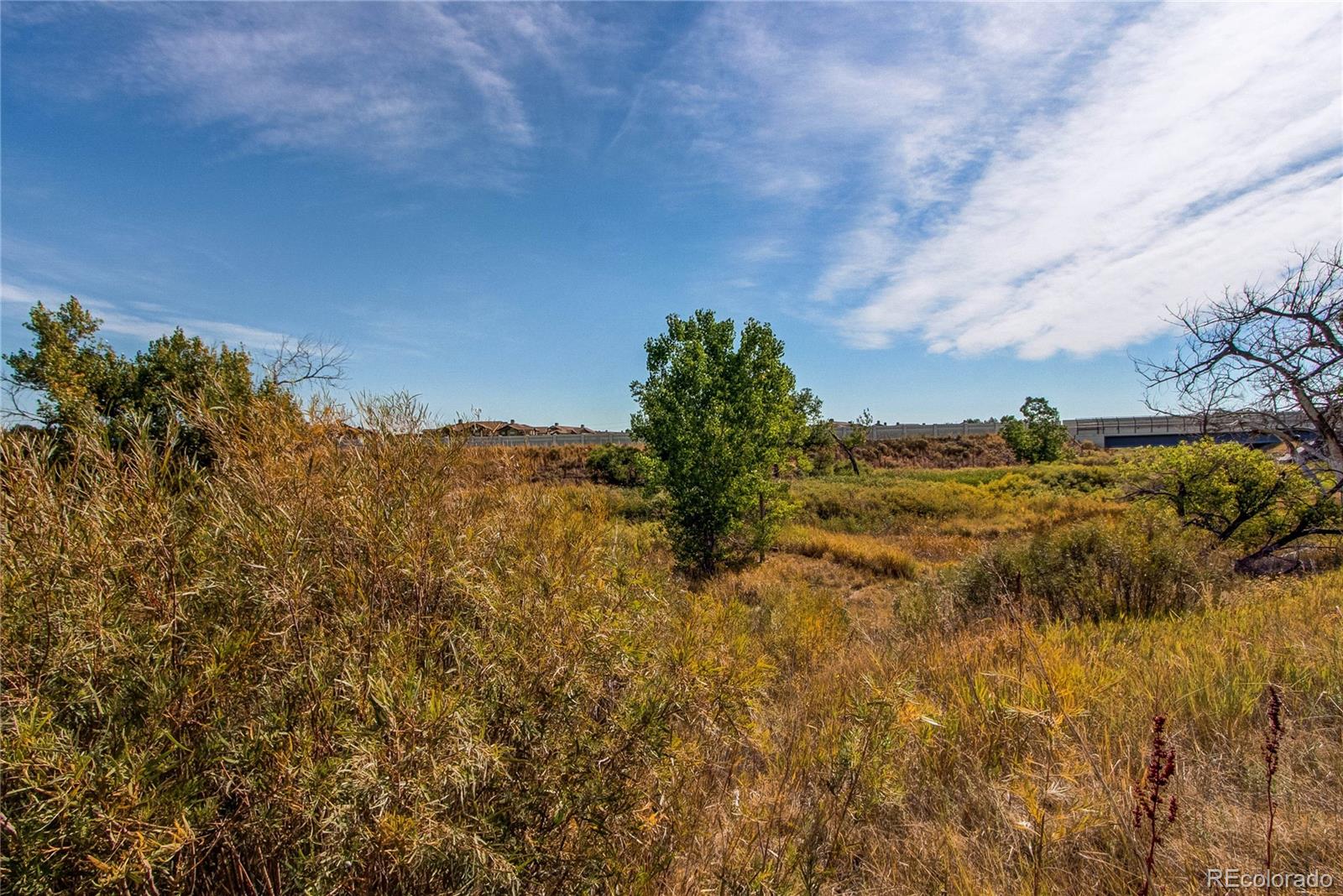 MLS Image #34 for 22920 e roxbury drive,aurora, Colorado