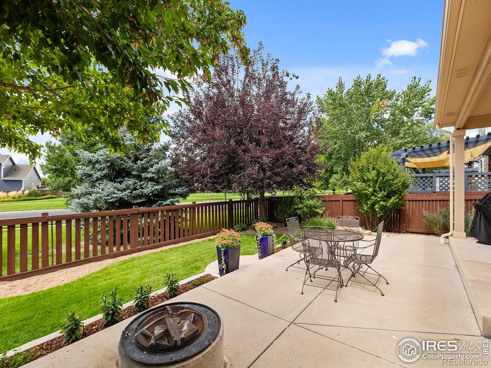 MLS Image #22 for 5633  claret street,timnath, Colorado