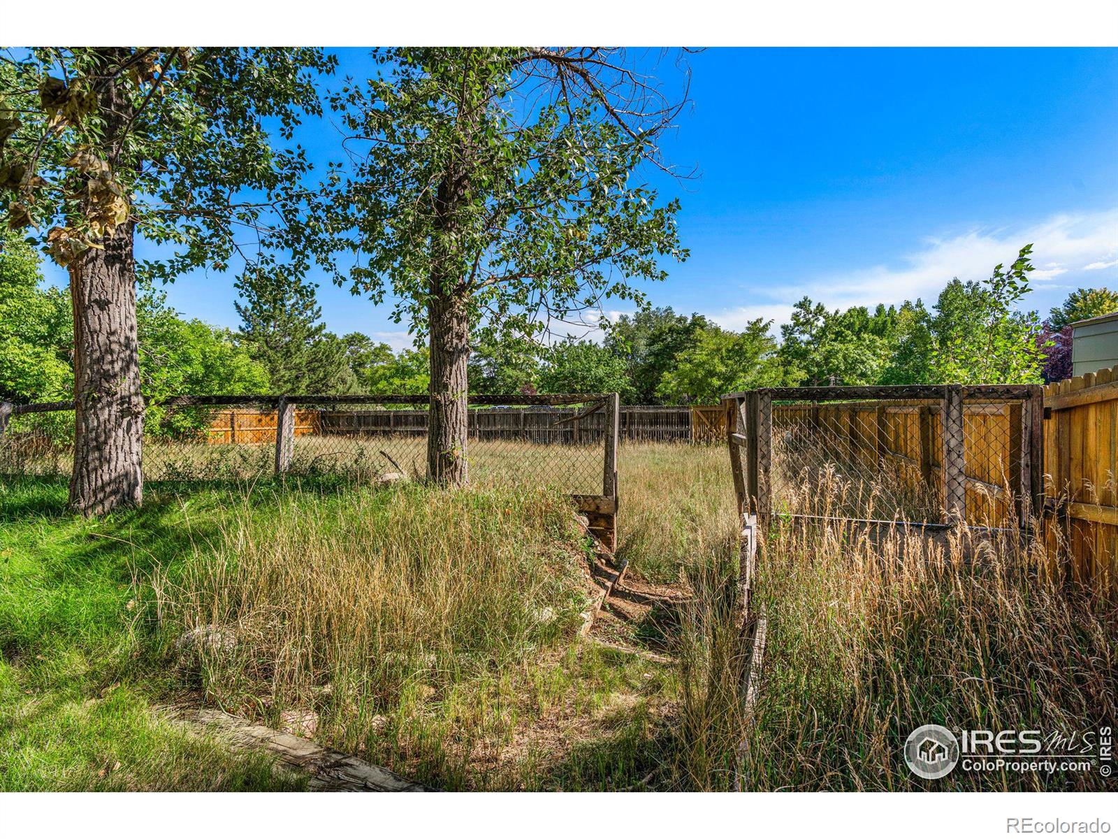 MLS Image #23 for 519  towhee street,fort collins, Colorado