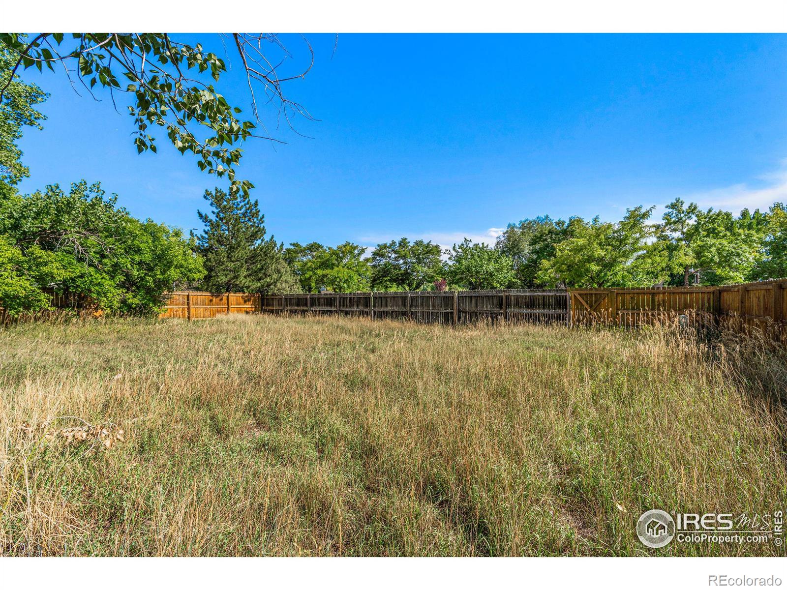 MLS Image #24 for 519  towhee street,fort collins, Colorado