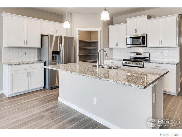 MLS Image #10 for 1639  knobby pine drive,fort collins, Colorado