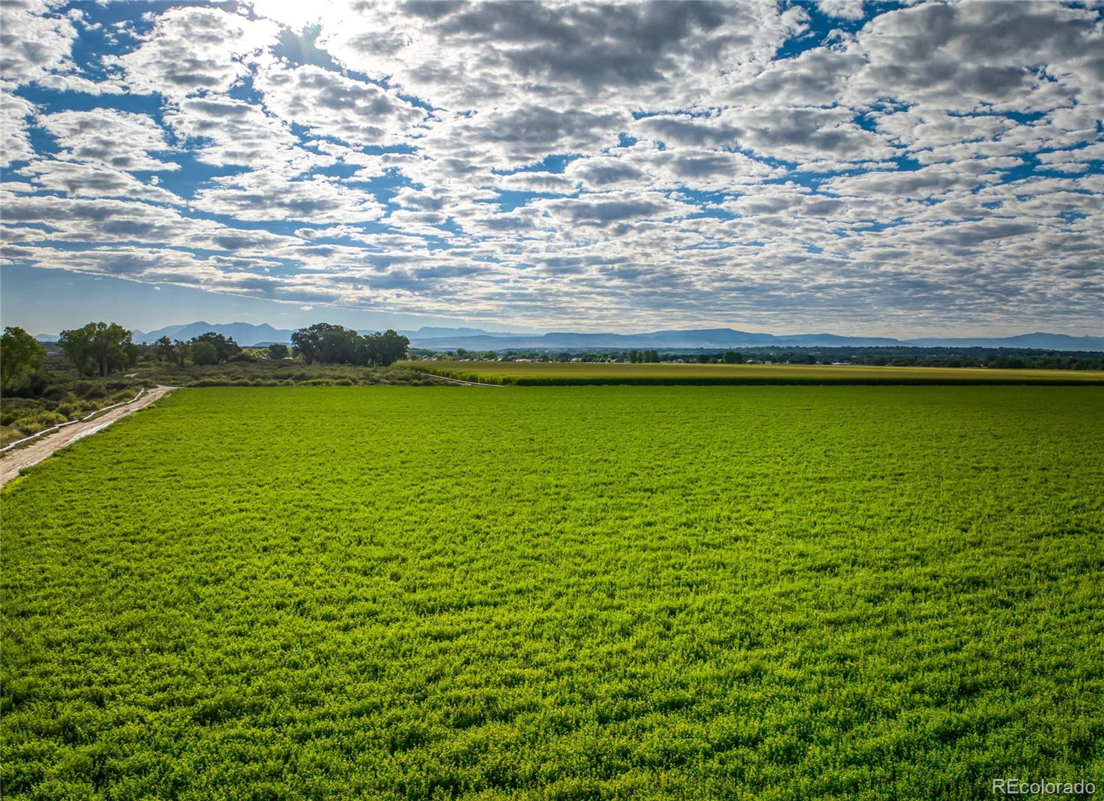 MLS Image #0 for 1449  highway 50 ,delta, Colorado