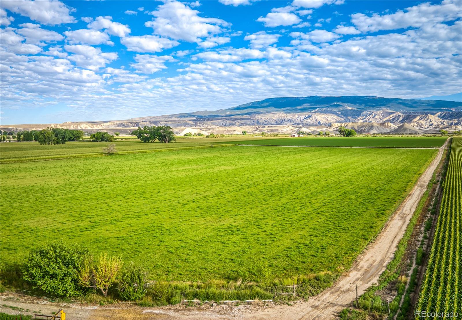 MLS Image #10 for 1449  highway 50 ,delta, Colorado