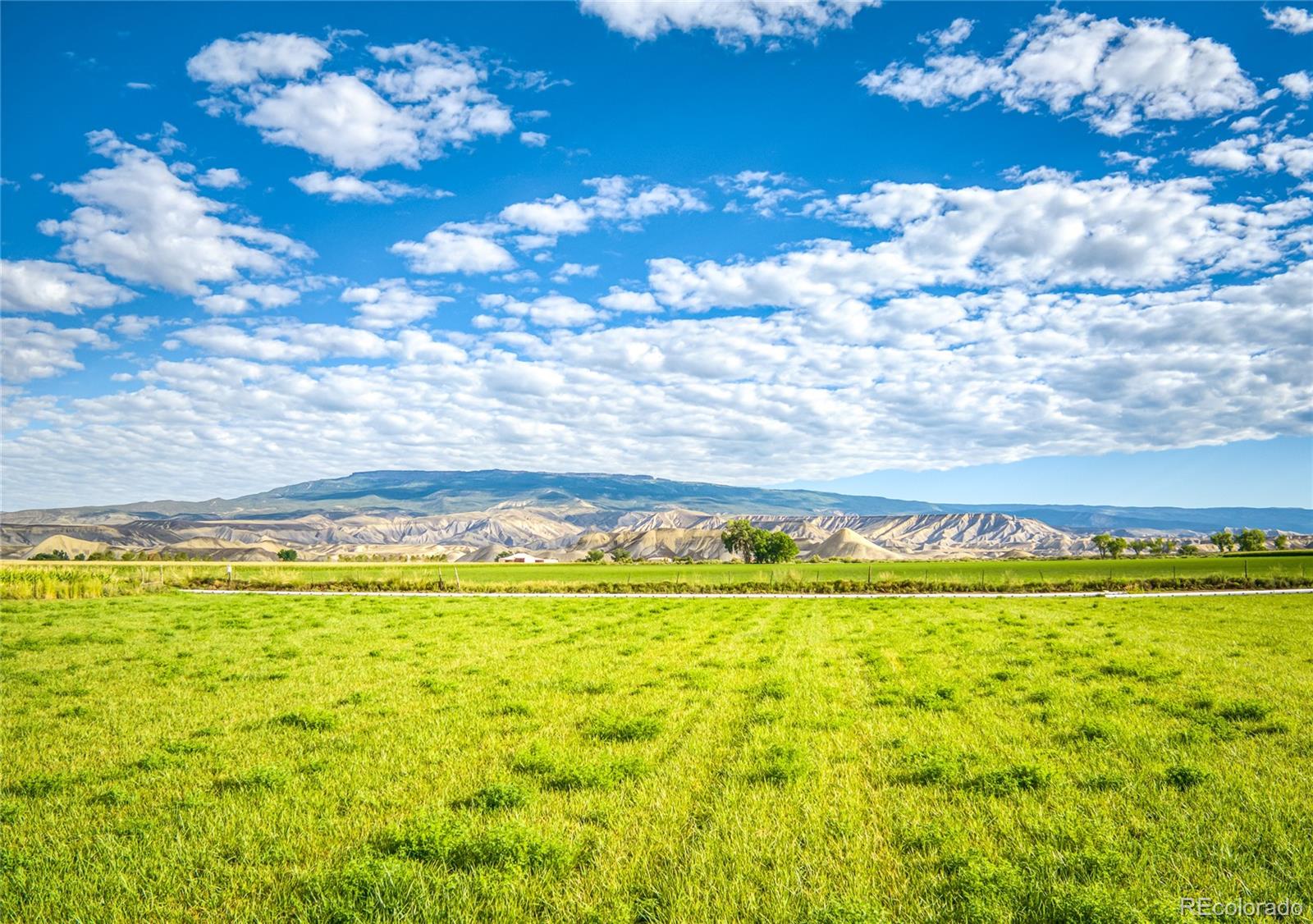 MLS Image #13 for 1449  highway 50 ,delta, Colorado