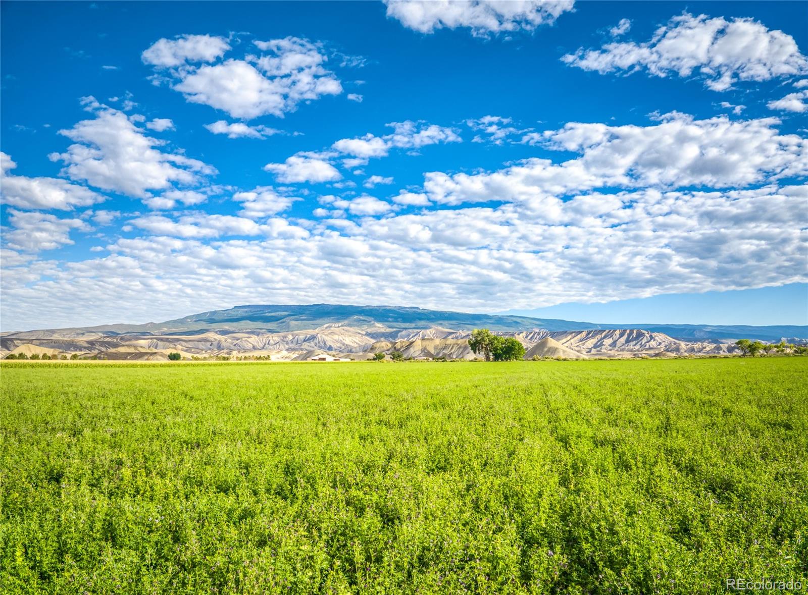 MLS Image #14 for 1449  highway 50 ,delta, Colorado