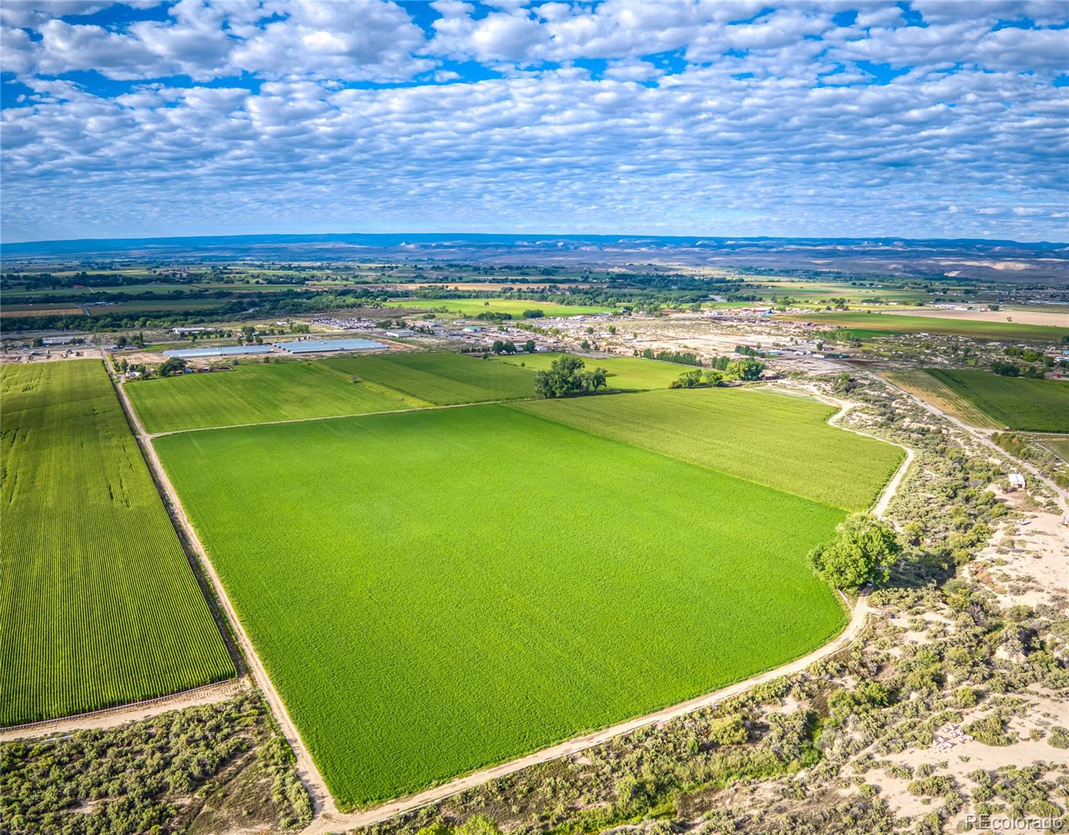 MLS Image #2 for 1449  highway 50 ,delta, Colorado