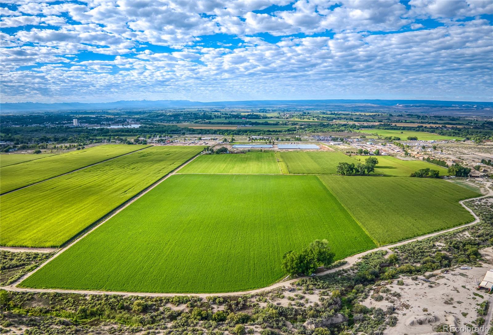 MLS Image #3 for 1449  highway 50 ,delta, Colorado