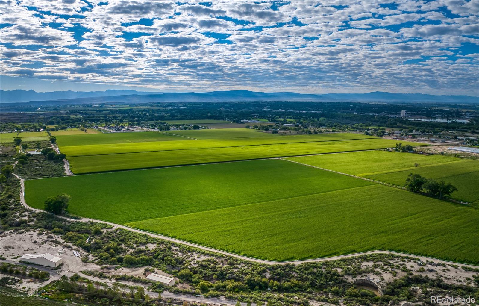 MLS Image #4 for 1449  highway 50 ,delta, Colorado