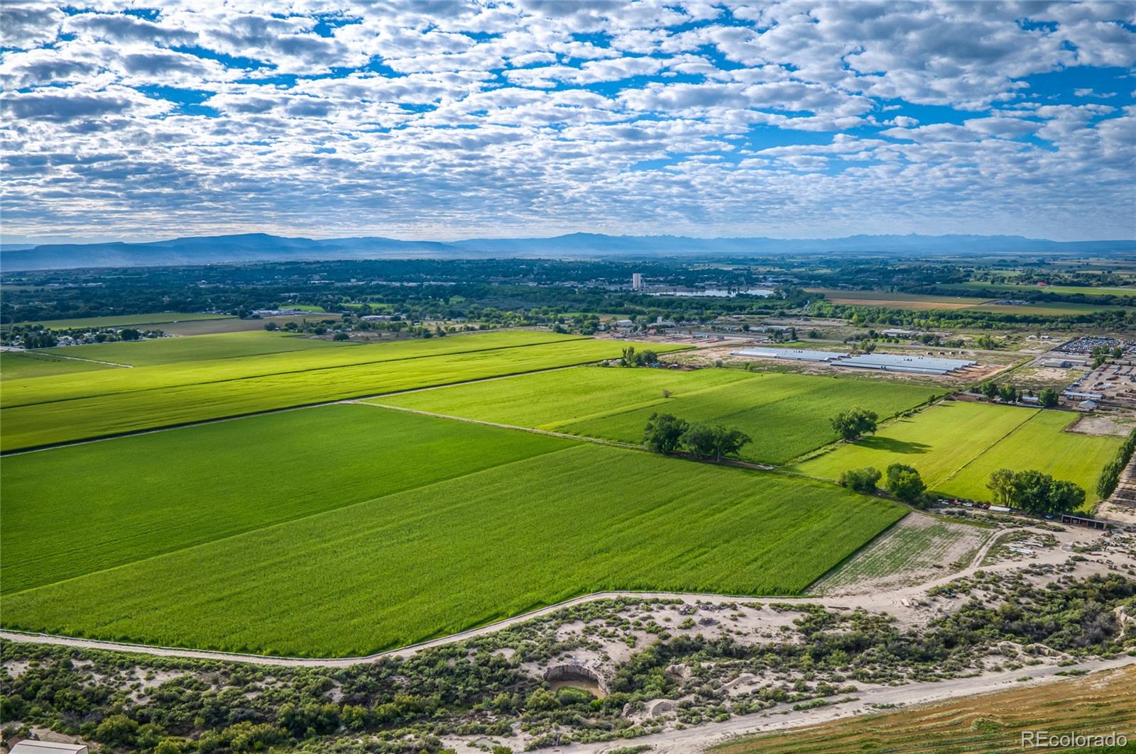 MLS Image #5 for 1449  highway 50 ,delta, Colorado