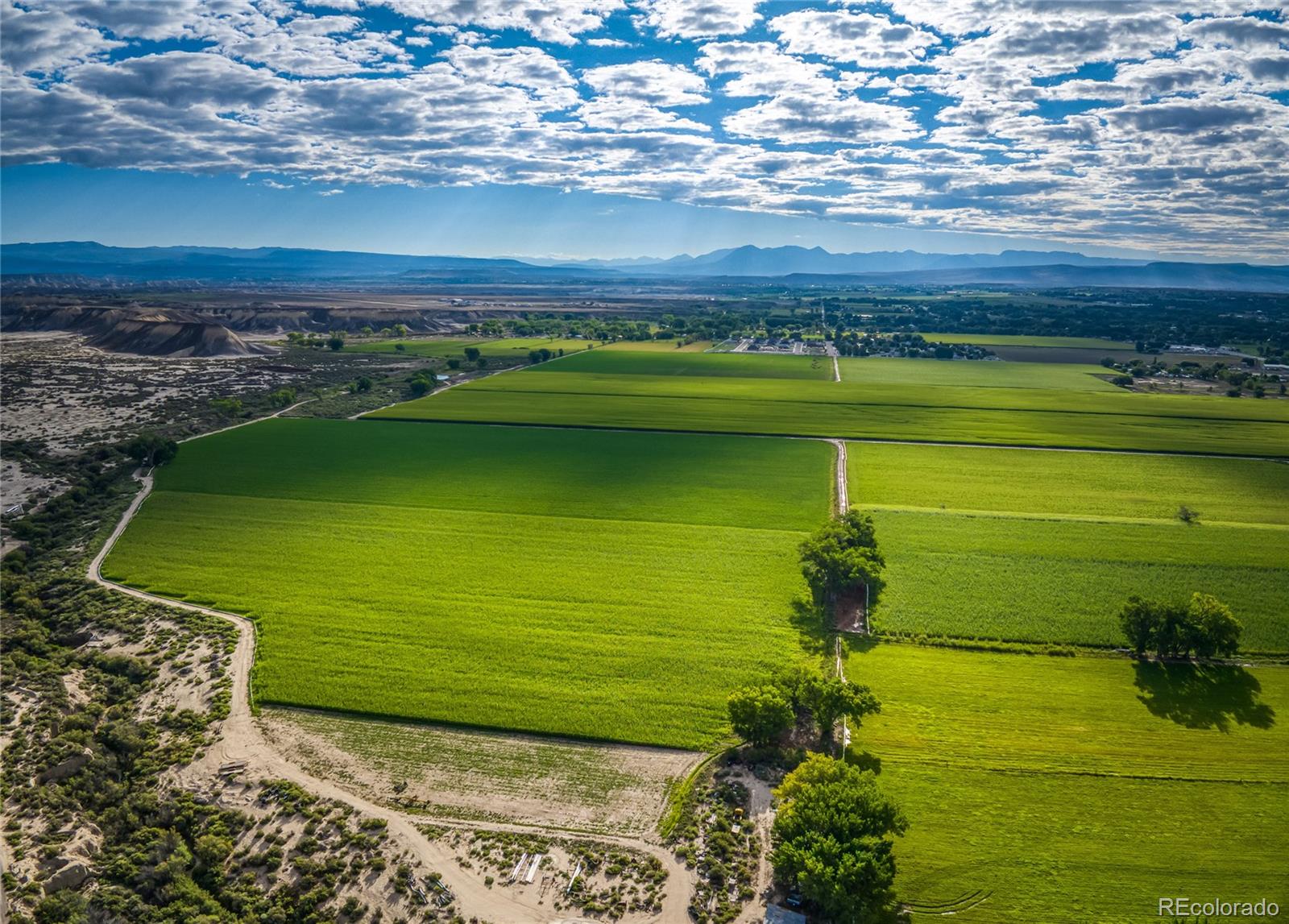 MLS Image #6 for 1449  highway 50 ,delta, Colorado