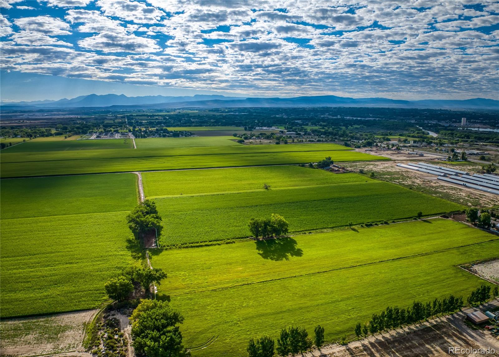 MLS Image #7 for 1449  highway 50 ,delta, Colorado