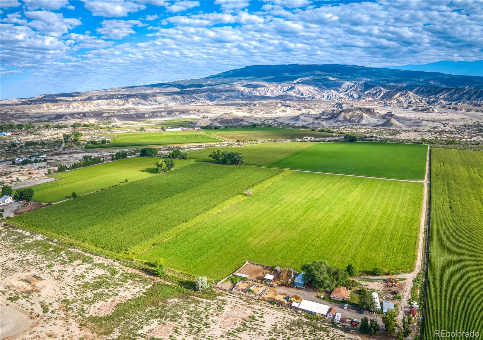 MLS Image #8 for 1449  highway 50 ,delta, Colorado