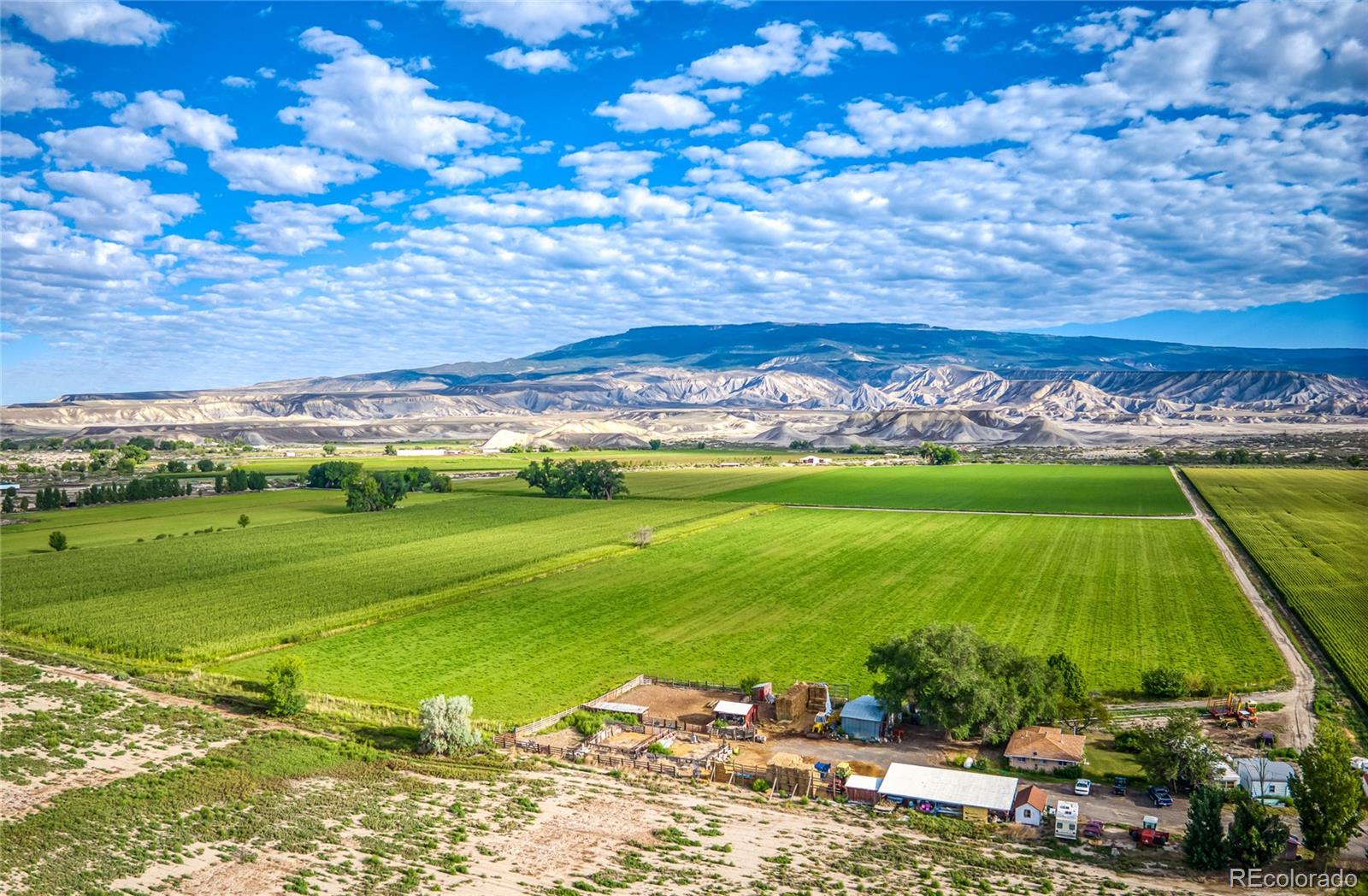 MLS Image #9 for 1449  highway 50 ,delta, Colorado