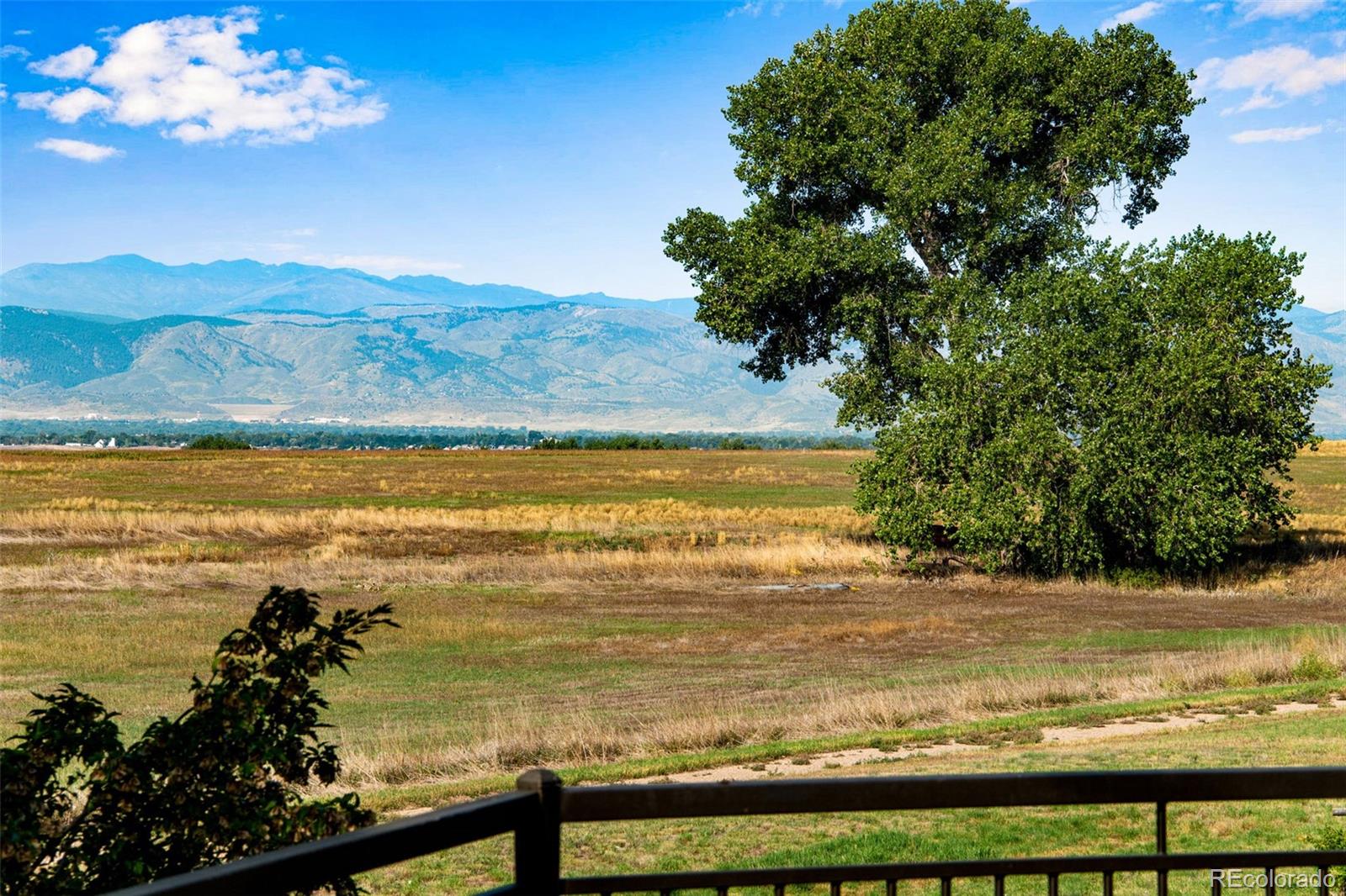 MLS Image #28 for 3217  taliesin way,fort collins, Colorado