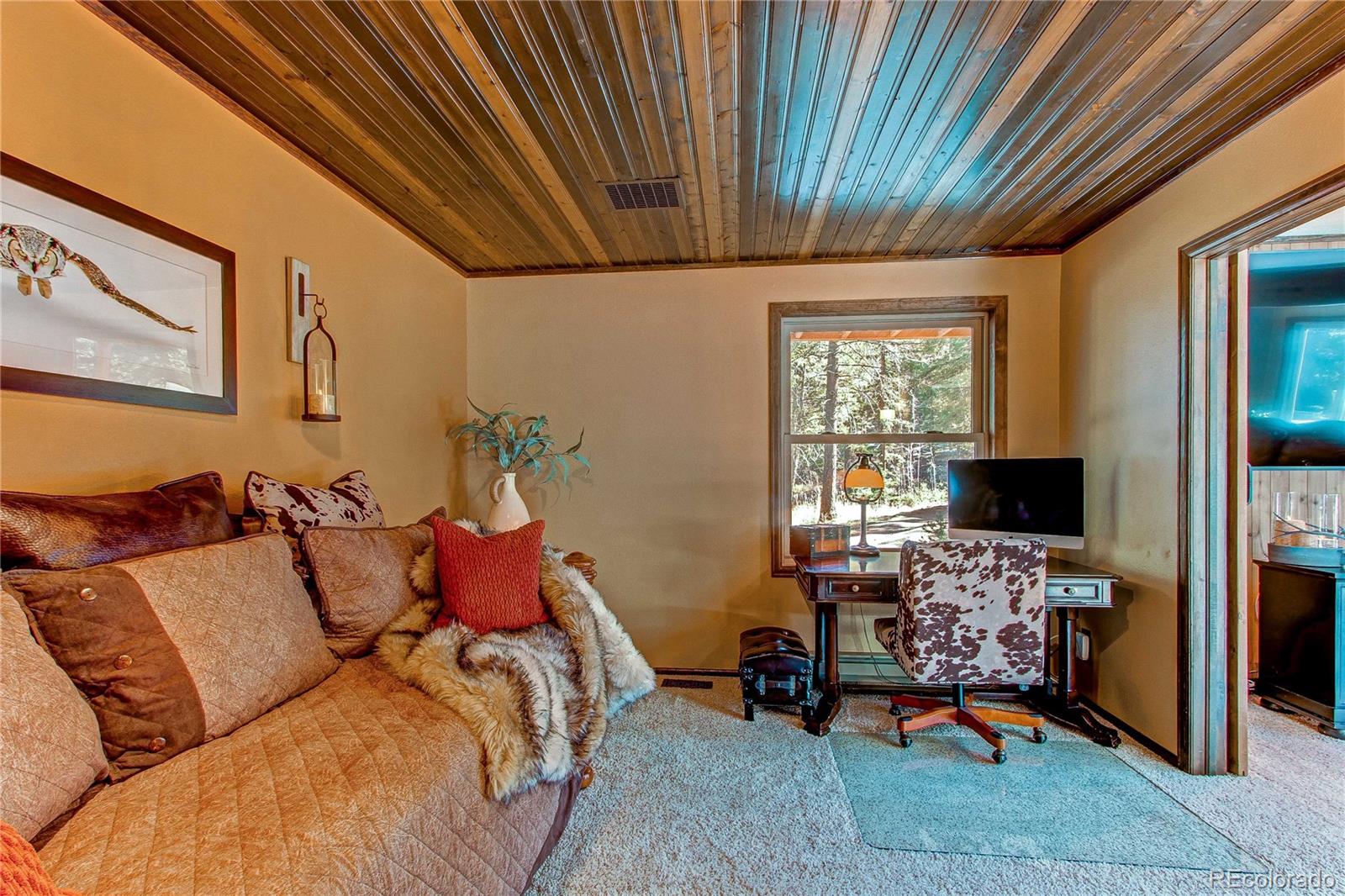 MLS Image #13 for 25257  snyder avenue,conifer, Colorado