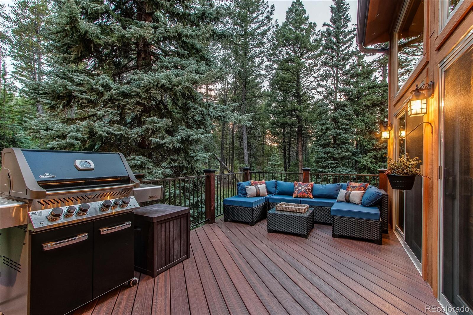 MLS Image #2 for 25257  snyder avenue,conifer, Colorado