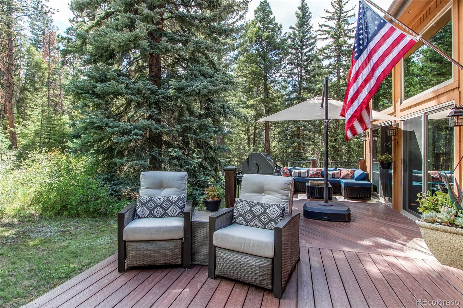 MLS Image #3 for 25257  snyder avenue,conifer, Colorado