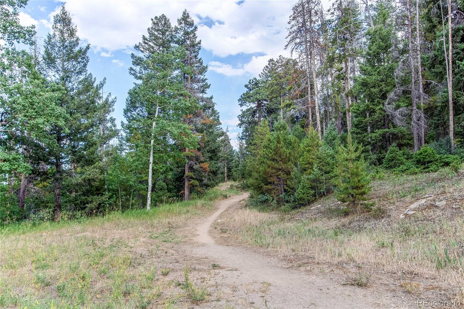 MLS Image #48 for 25257  snyder avenue,conifer, Colorado