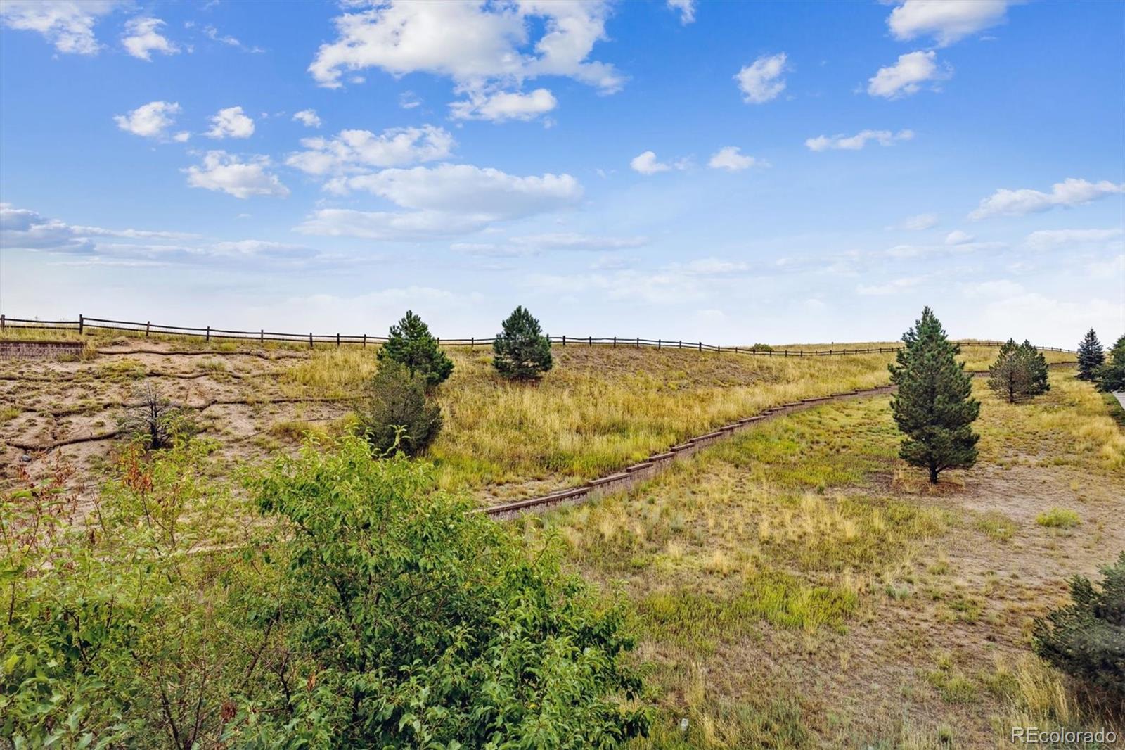 MLS Image #4 for 3892  pecos trail,castle rock, Colorado