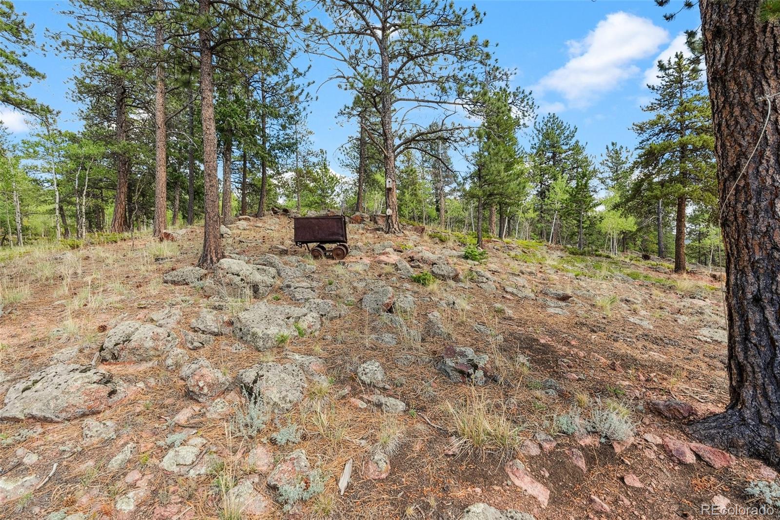 MLS Image #33 for 50  road p78 ,bailey, Colorado