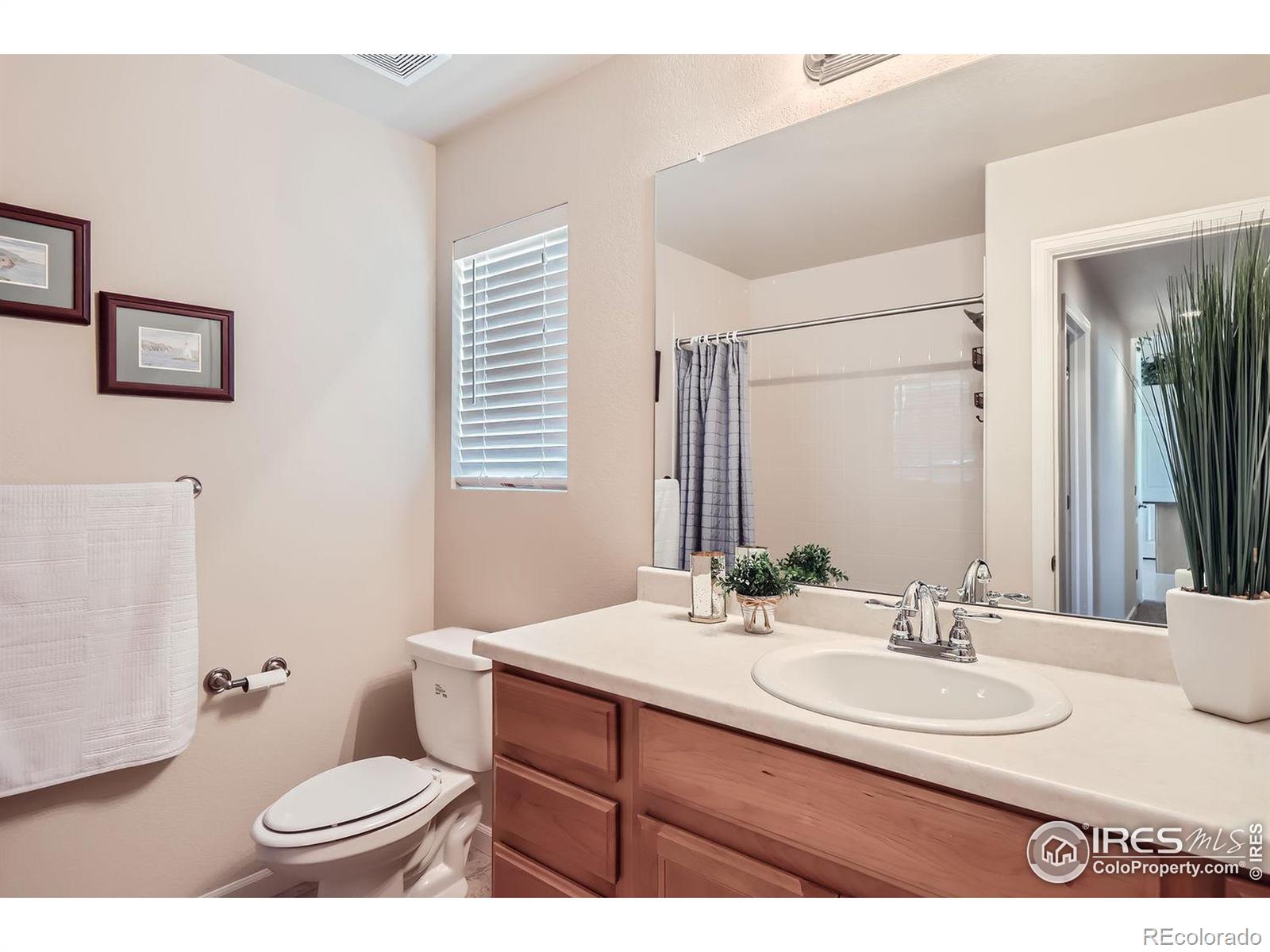 MLS Image #12 for 363  brittle bush drive,loveland, Colorado