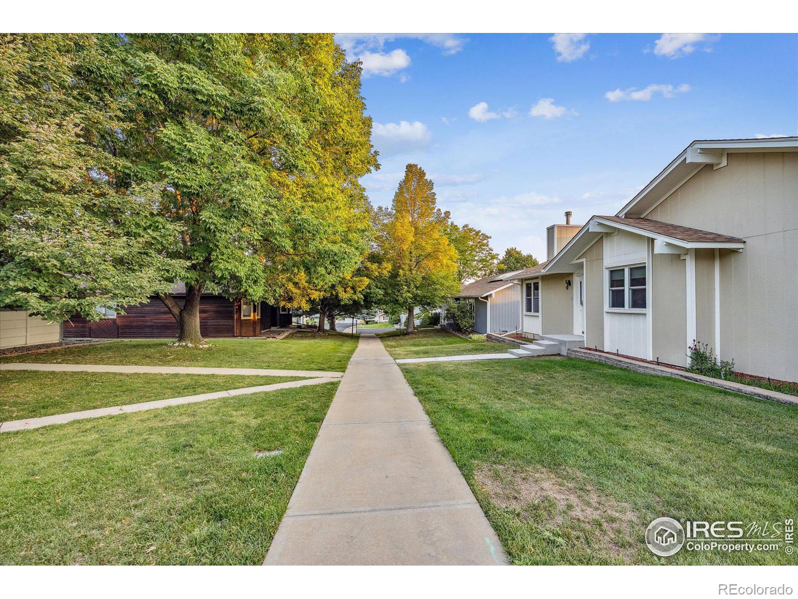 MLS Image #22 for 51  curtis court,broomfield, Colorado