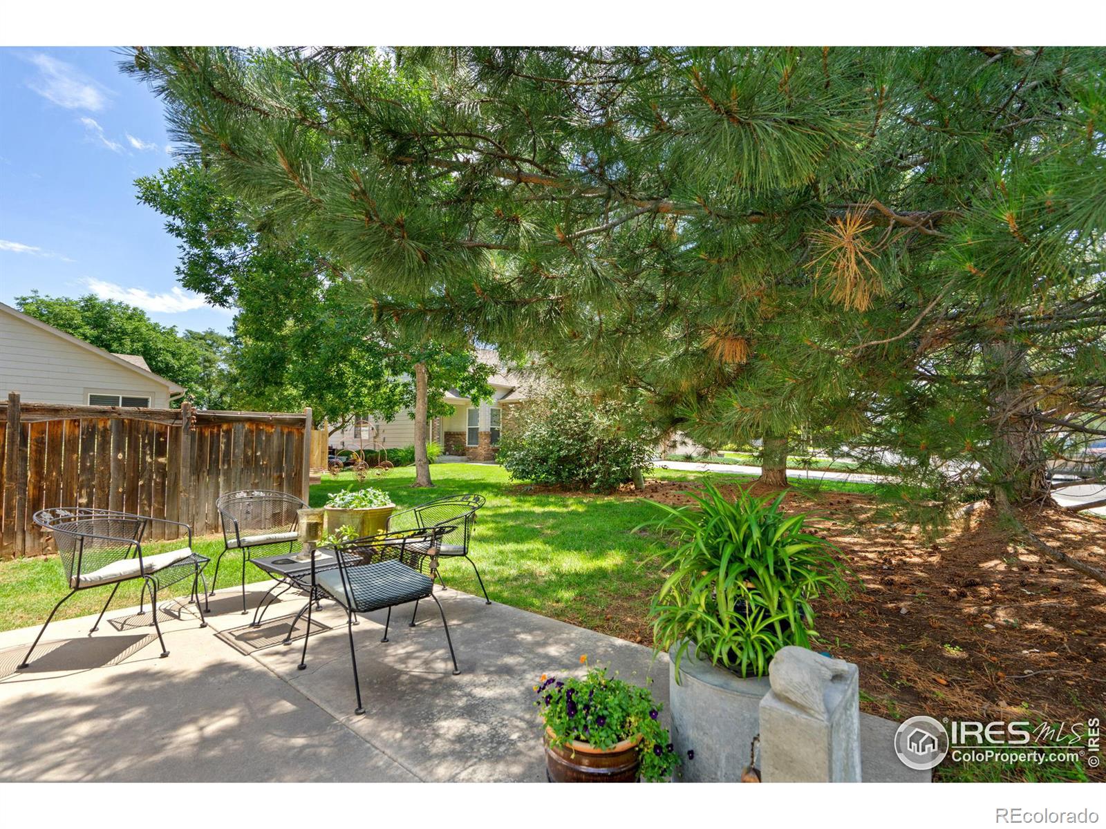 MLS Image #20 for 2167  bronson street,fort collins, Colorado