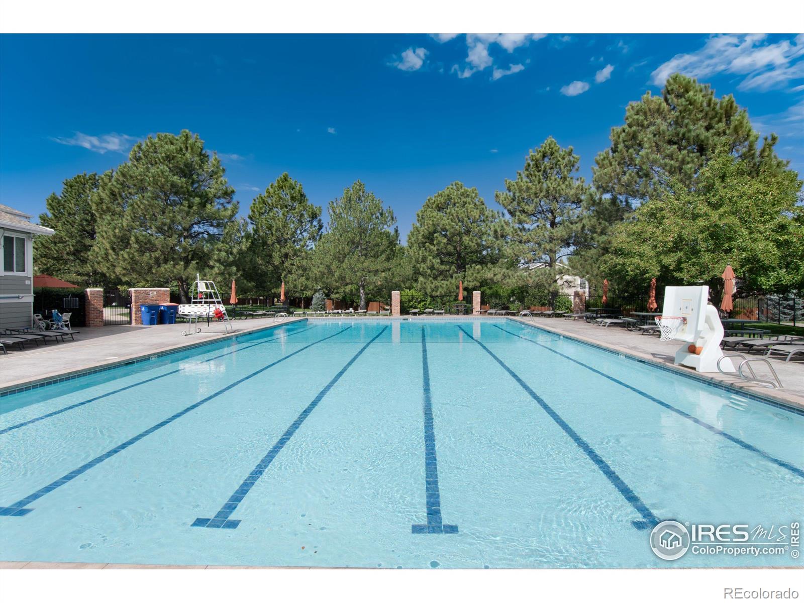 MLS Image #34 for 617  sherman street,castle pines, Colorado