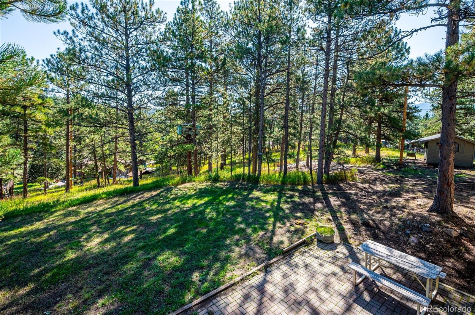 MLS Image #31 for 27753  pine valley drive,evergreen, Colorado