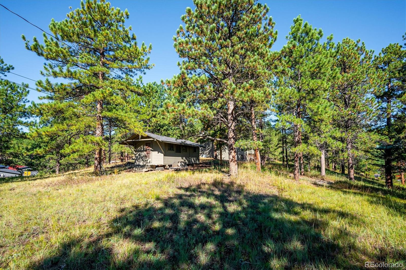 MLS Image #33 for 27753  pine valley drive,evergreen, Colorado