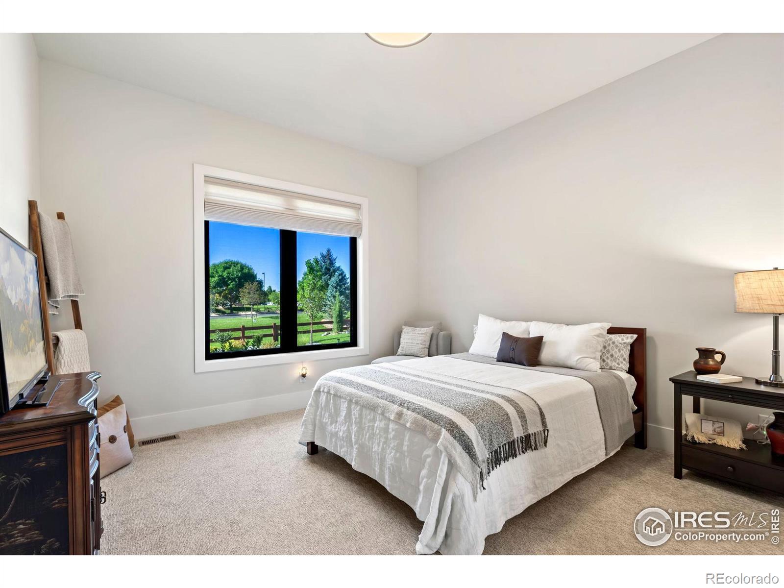 MLS Image #18 for 4181  prestwich court,timnath, Colorado