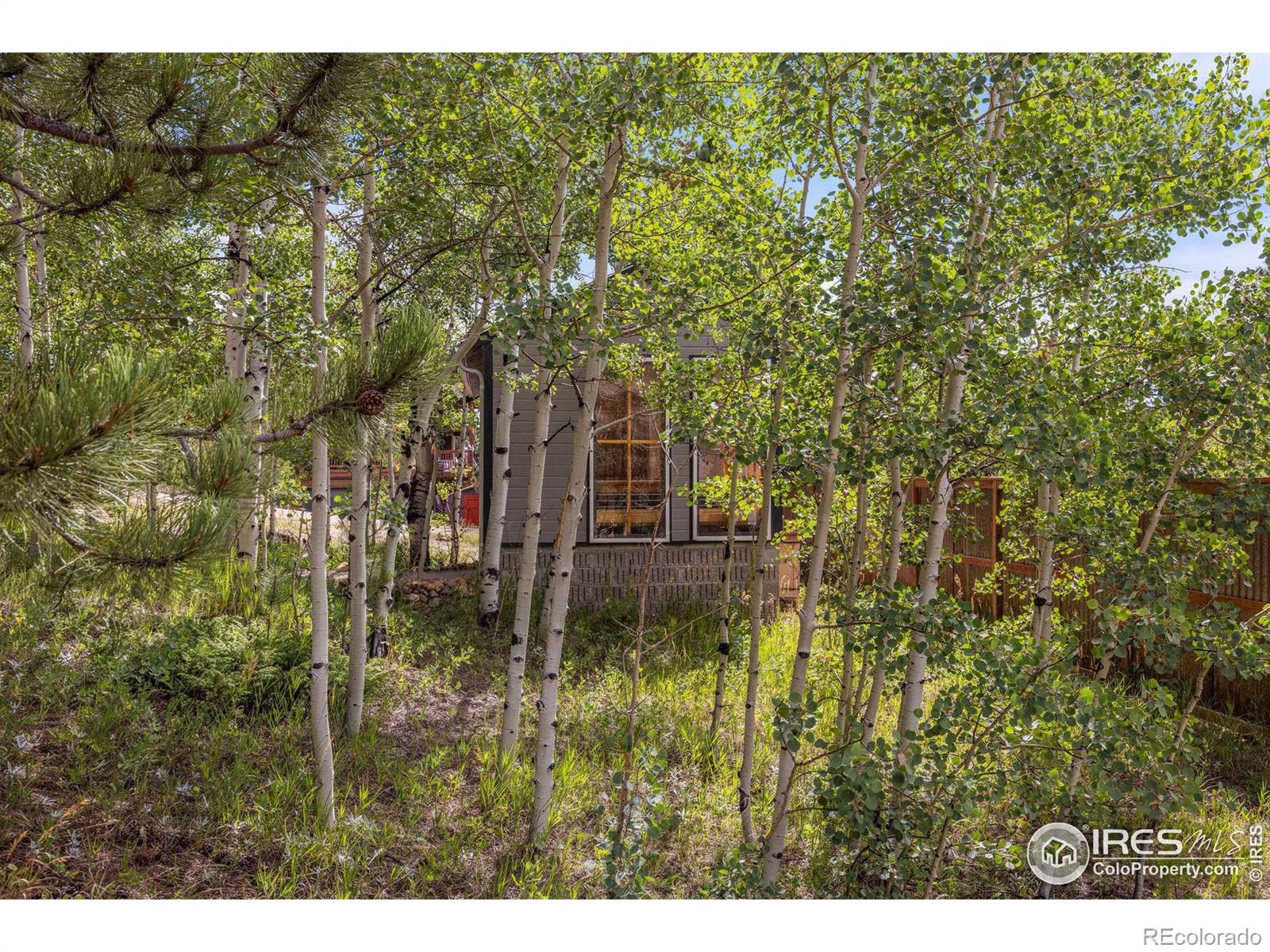 MLS Image #27 for 118 w 6th street,nederland, Colorado