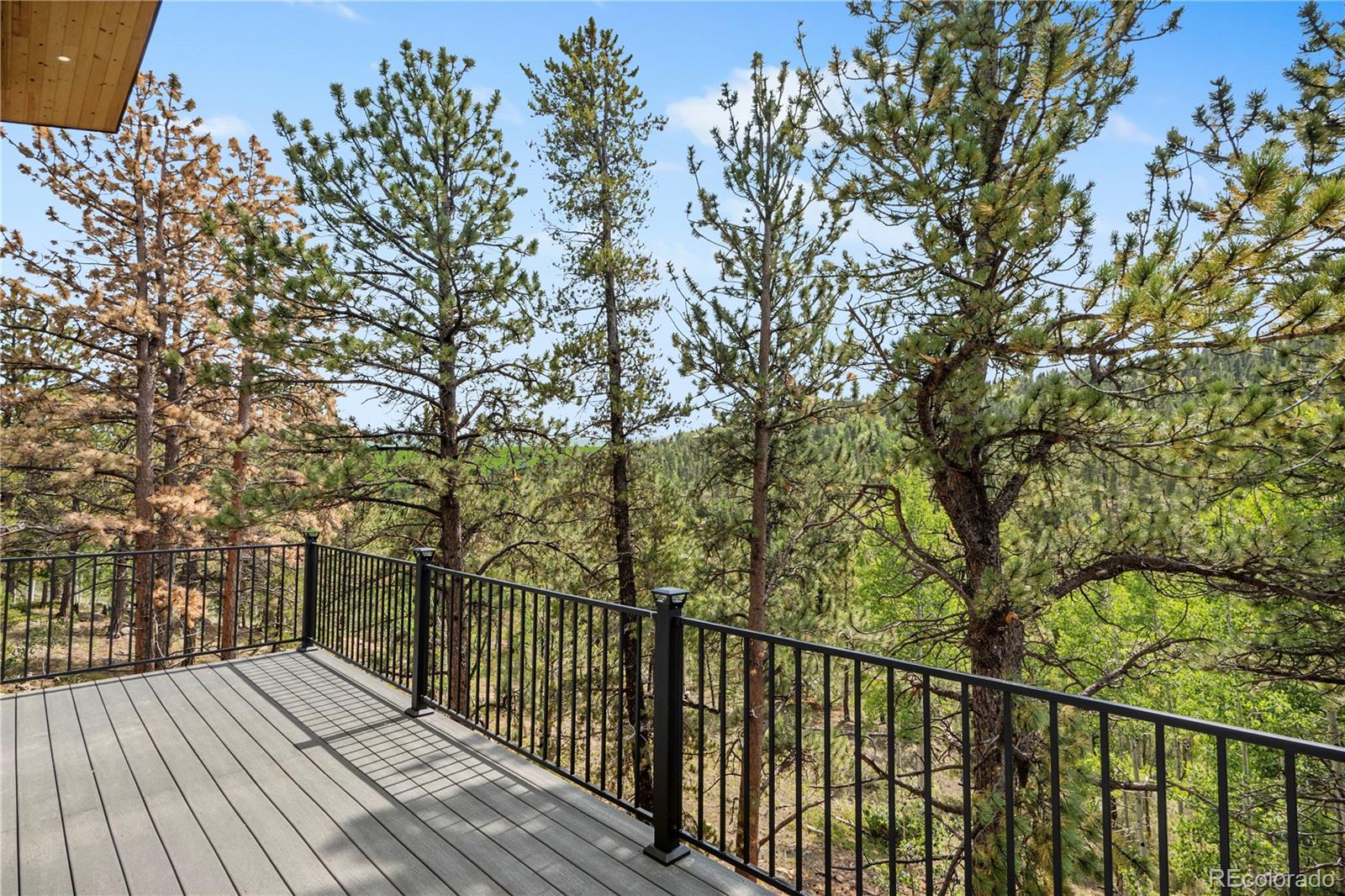 MLS Image #11 for 586 n dory lakes drive,black hawk, Colorado