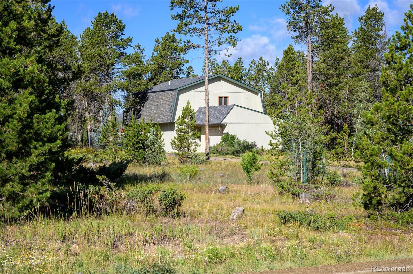 MLS Image #2 for 100  county road 832 ,fraser, Colorado