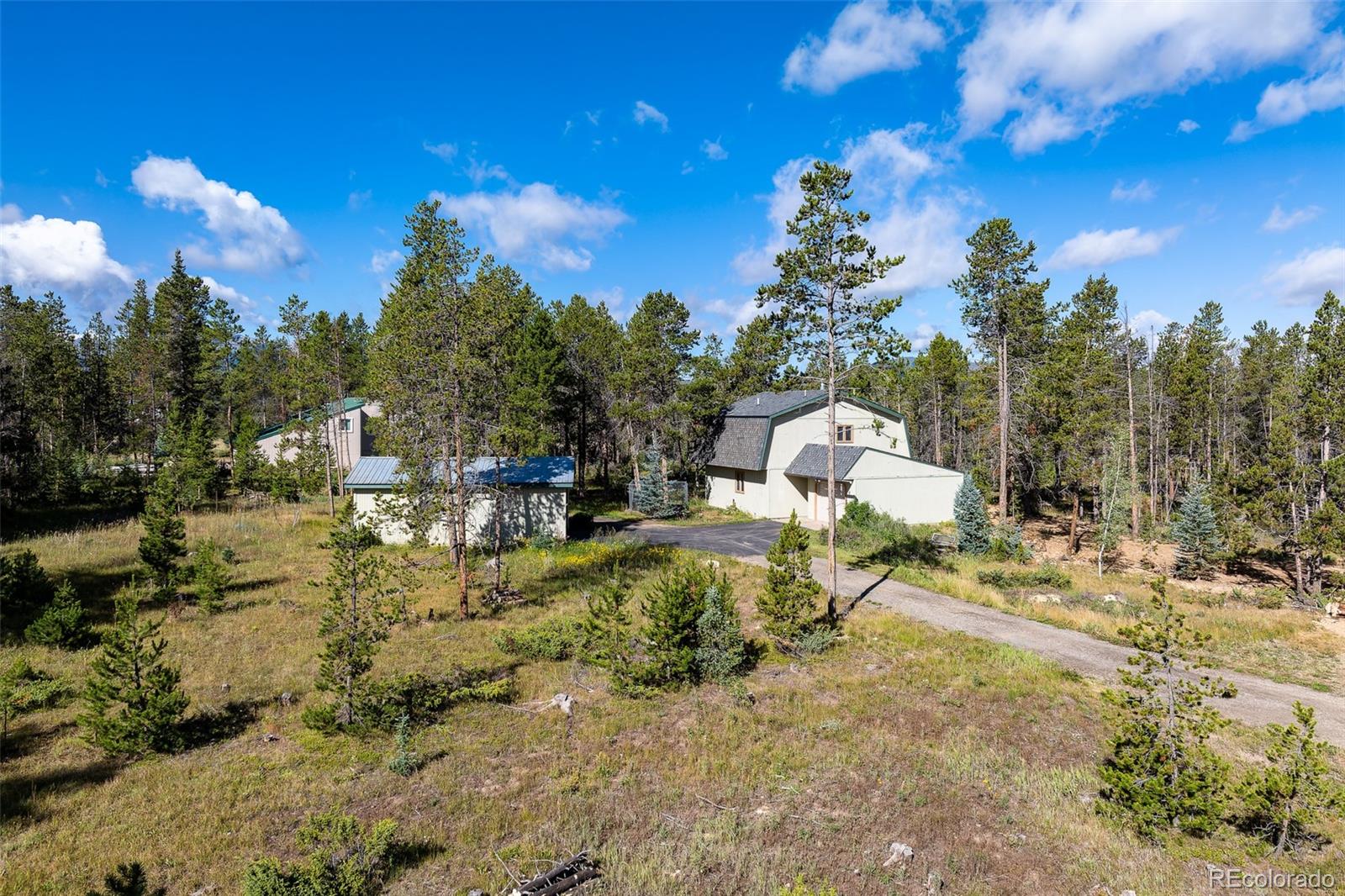 MLS Image #3 for 100  county road 832 ,fraser, Colorado