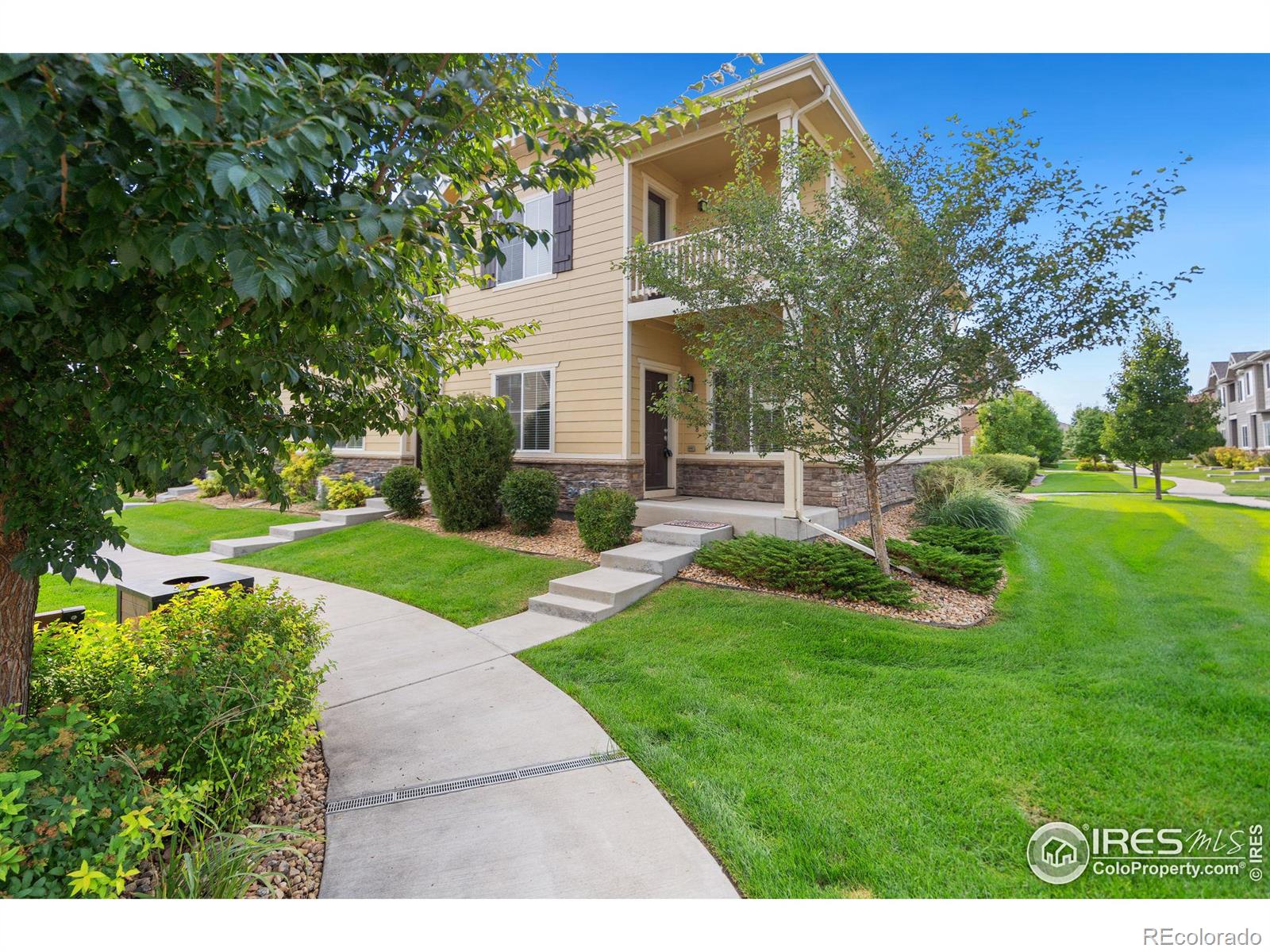 MLS Image #0 for 1438  sepia avenue,longmont, Colorado