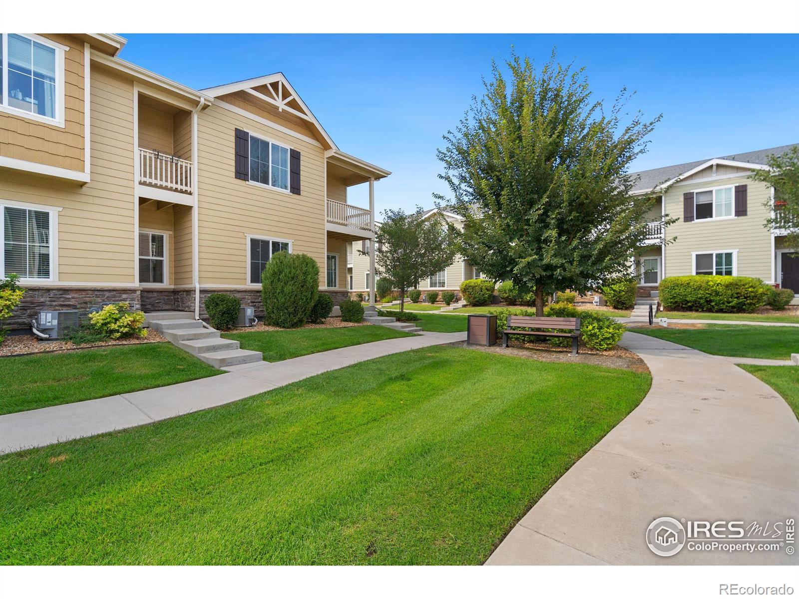 MLS Image #3 for 1438  sepia avenue,longmont, Colorado