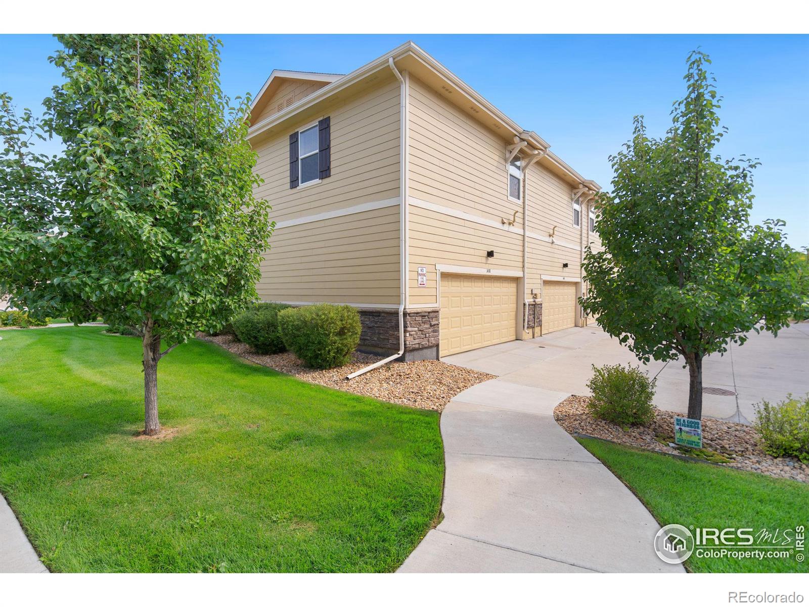 MLS Image #5 for 1438  sepia avenue,longmont, Colorado