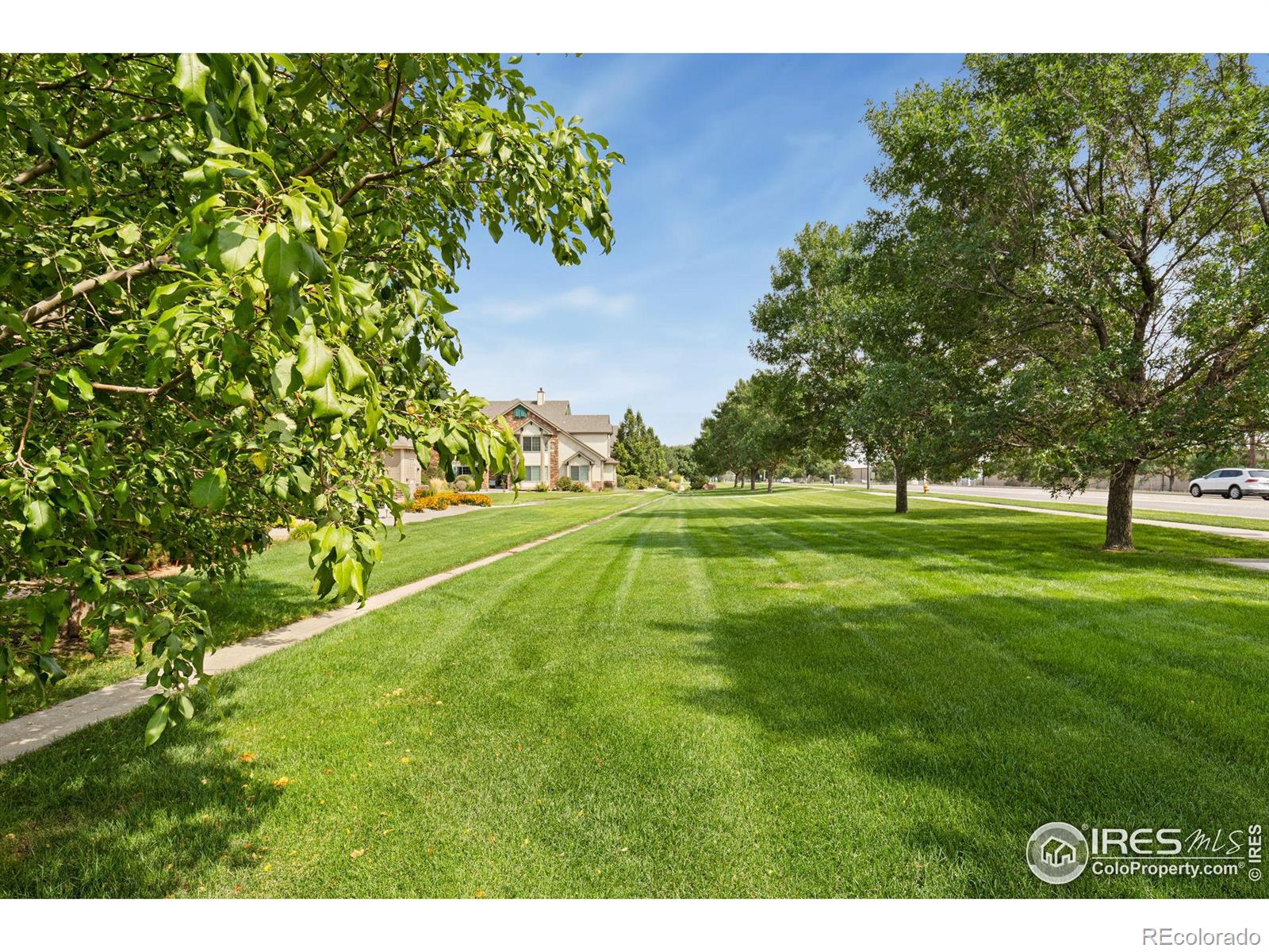 MLS Image #33 for 3476  oberon drive,loveland, Colorado