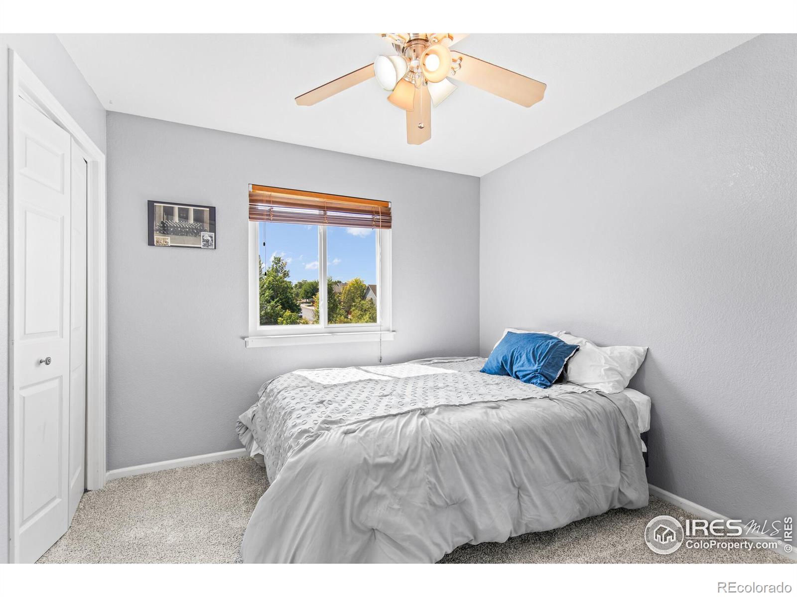 MLS Image #18 for 1047  mahogany way,severance, Colorado