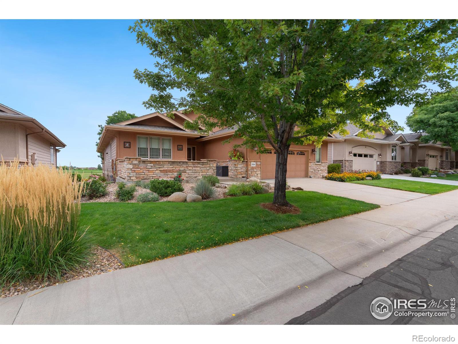 MLS Image #1 for 6564  half moon bay drive,windsor, Colorado