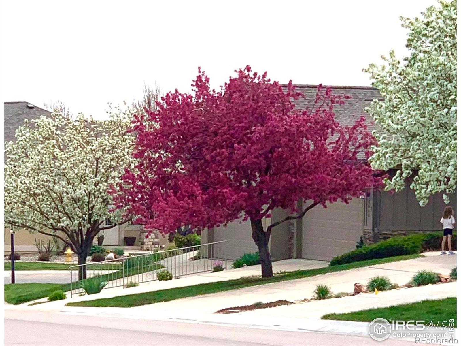 MLS Image #26 for 4615  morning dove lane,fort collins, Colorado