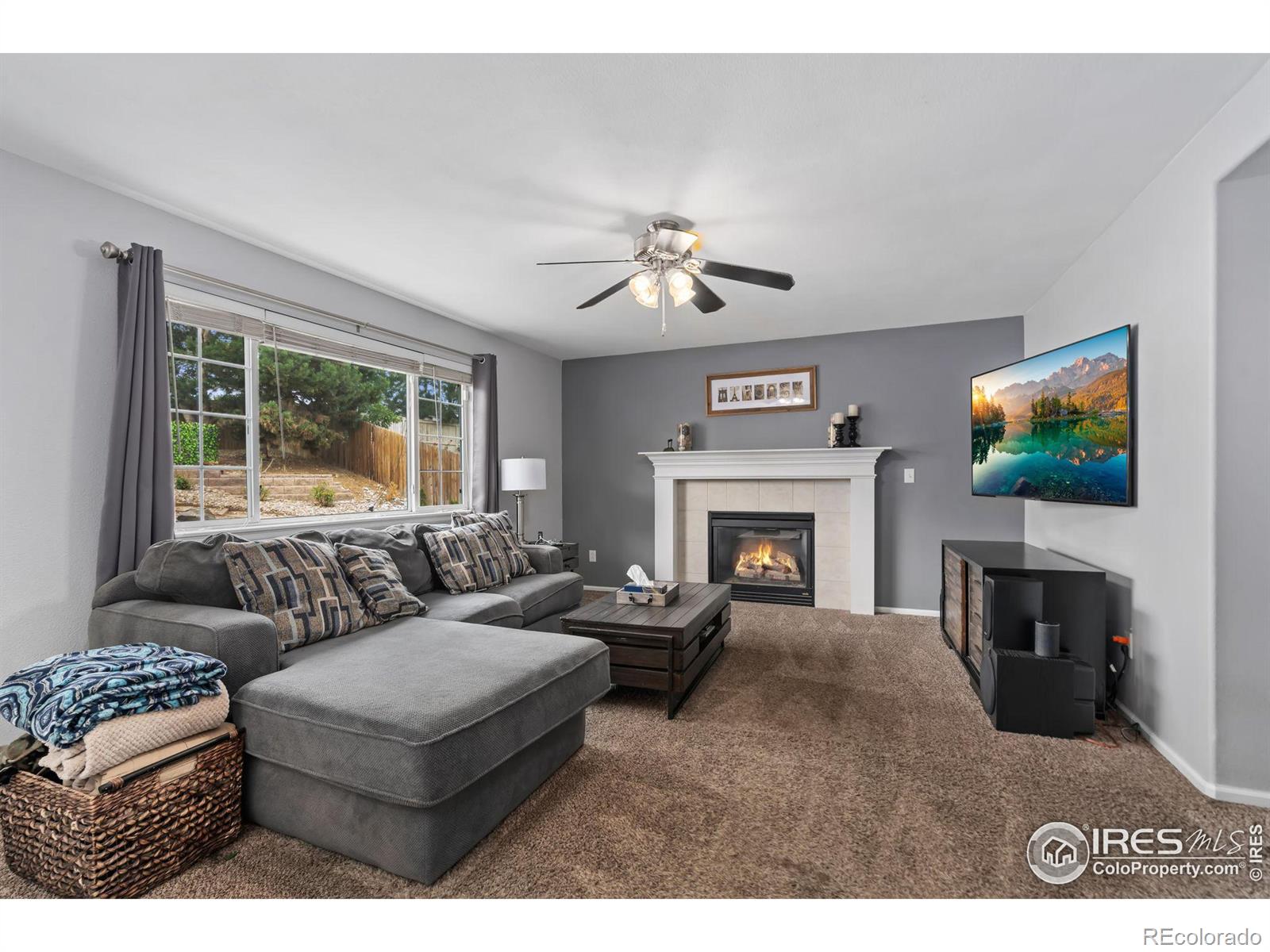 MLS Image #10 for 471  sunshine way,brighton, Colorado