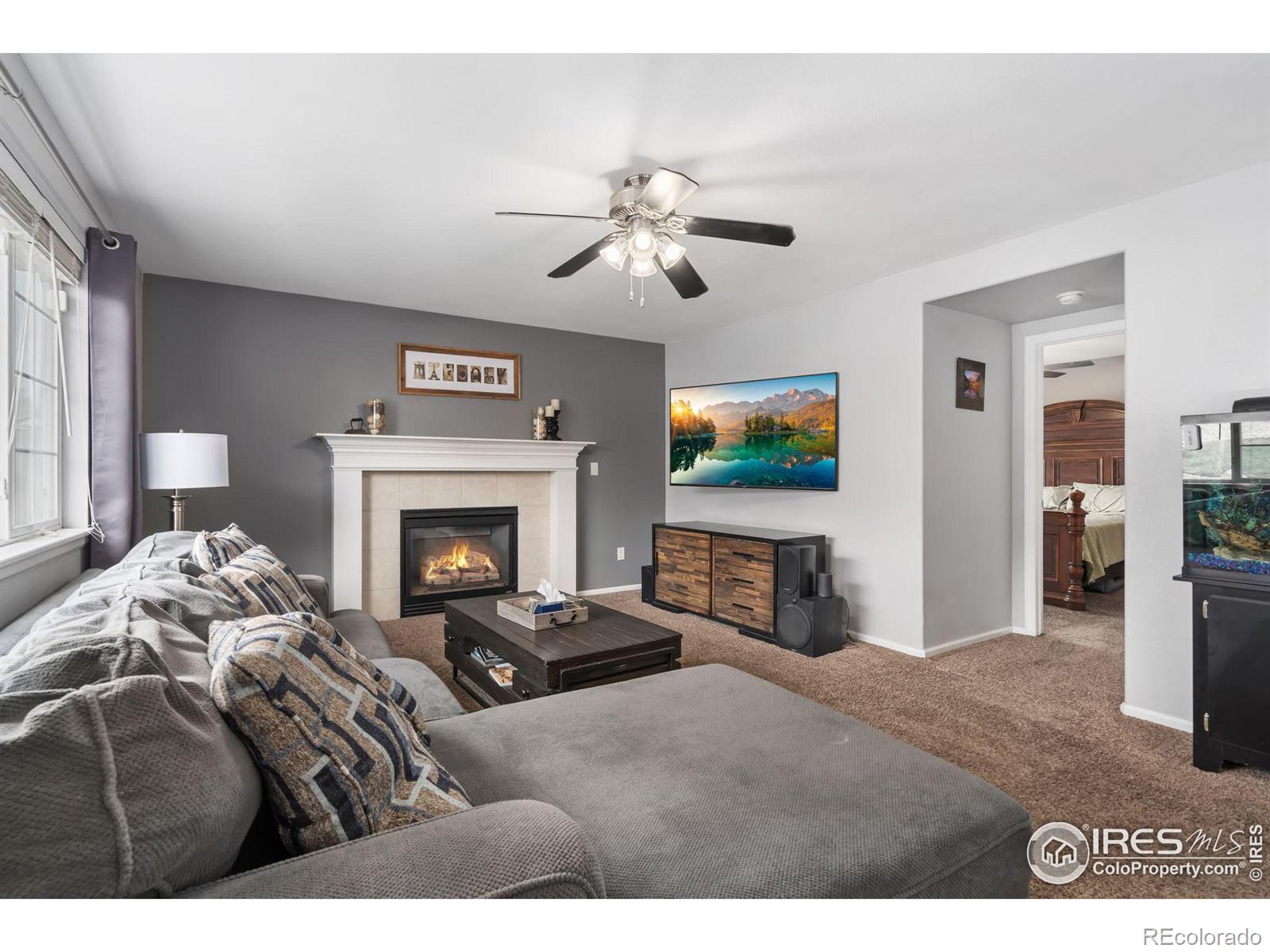 MLS Image #12 for 471  sunshine way,brighton, Colorado