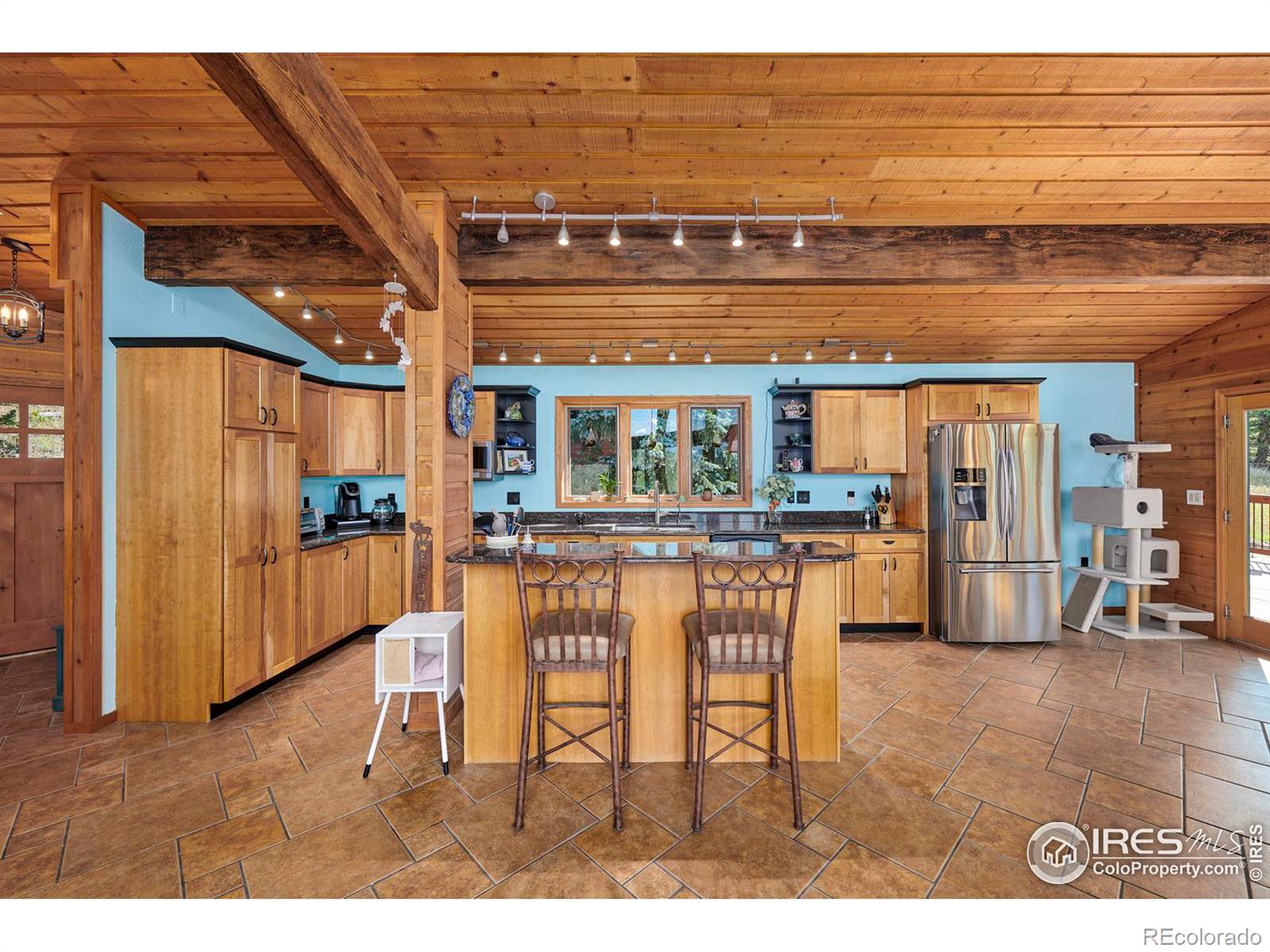 MLS Image #11 for 156  rocky knob lane,nederland, Colorado