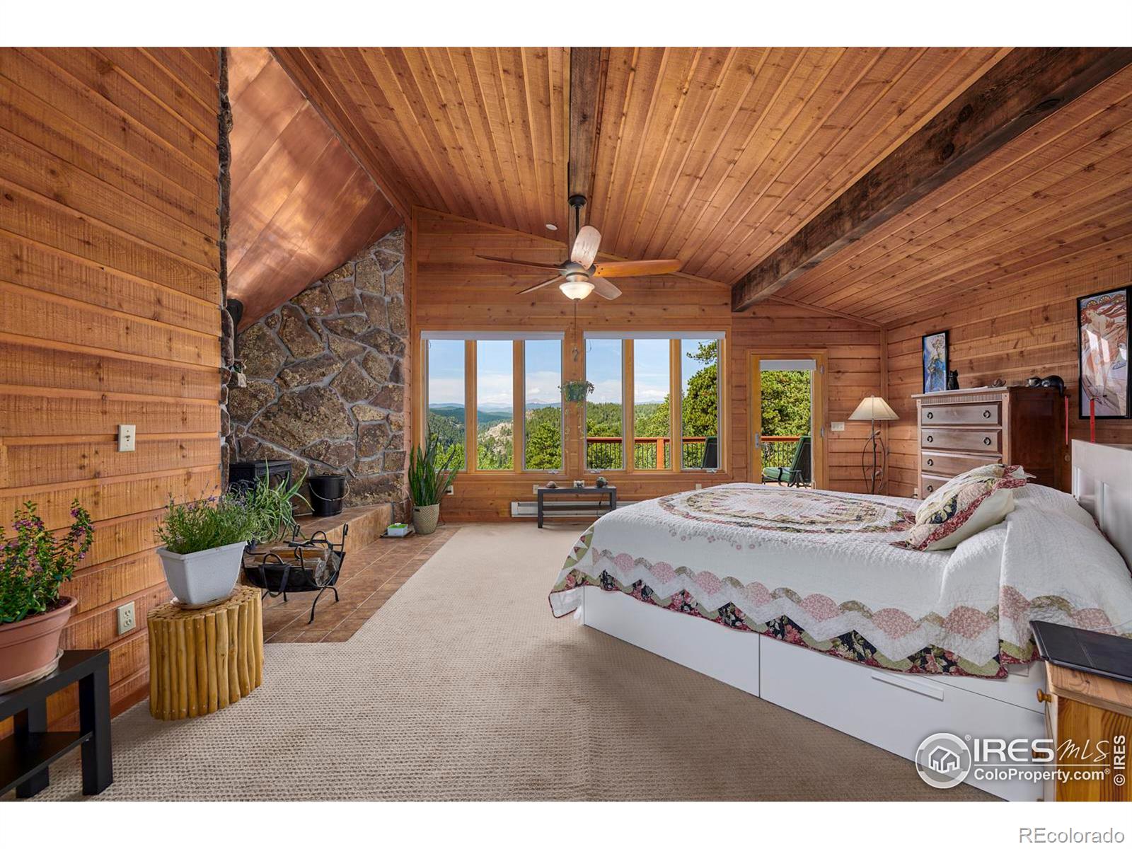 MLS Image #13 for 156  rocky knob lane,nederland, Colorado