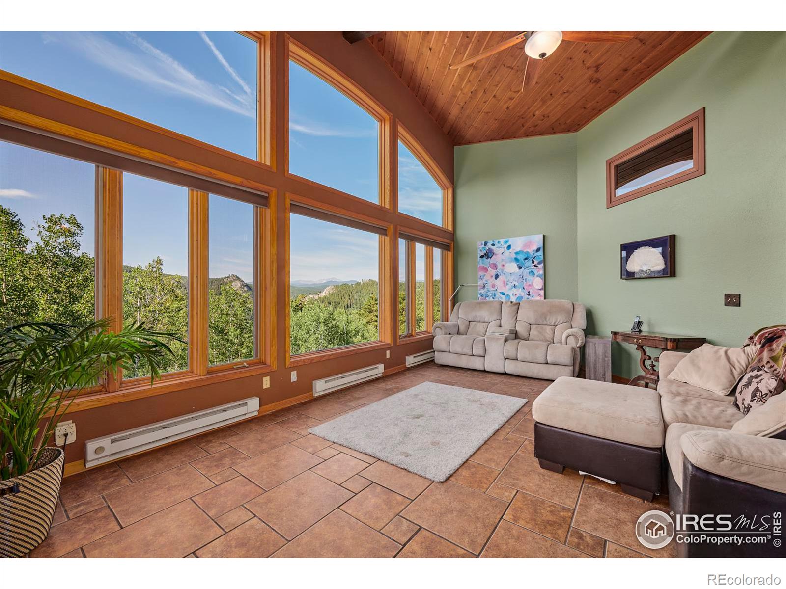 MLS Image #5 for 156  rocky knob lane,nederland, Colorado