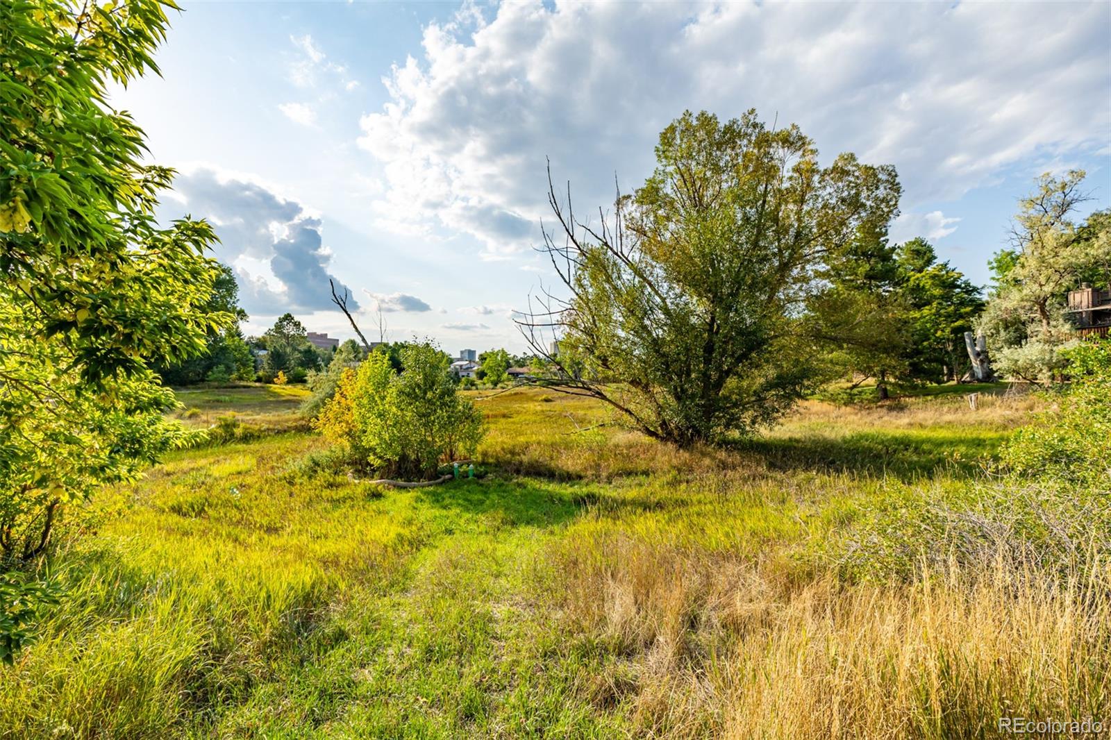 MLS Image #45 for 9630 e powers place,greenwood village, Colorado